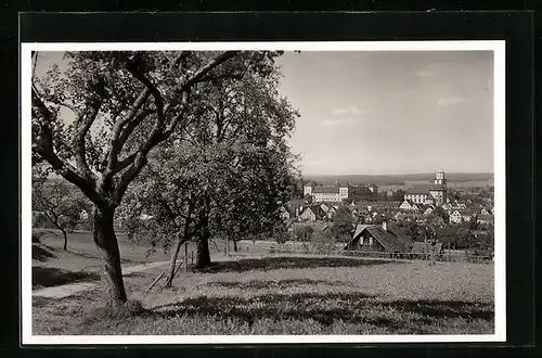 AK Messkirch /Baden, Teilansicht mit Kirche