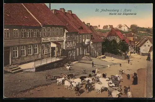 AK St. Andreasberg, Markt mit Ziegenherde