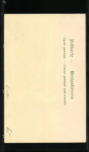 Lithographie Schweiz, Wappen mit Edelweiss