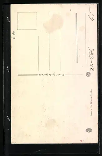 AK Rotkehlchen sitzt auf einem Ast