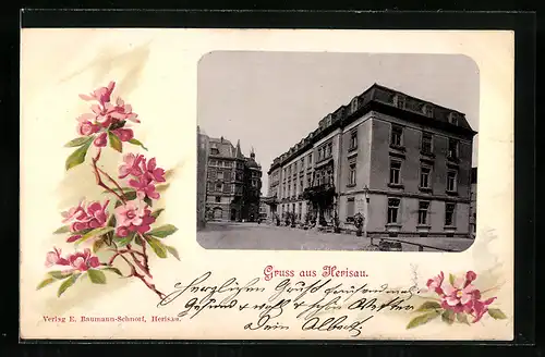 AK Herisau, Ortspartie mit Blick auf ein grosses Gebäude, Rosafarbene Blüten