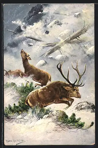Künstler-AK M.Müller jun.: Hirsch und Reh werden von einer Lawine überrascht