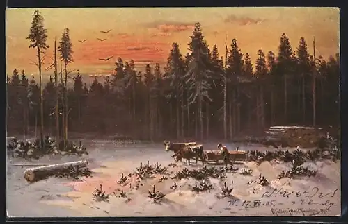 Künstler-AK M. Müller jun.: Bauer mit Rinderschlitten auf Lichtung