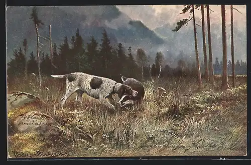 Künstler-AK M. Müller jun.: Jagdhund erlegt einen Dachs