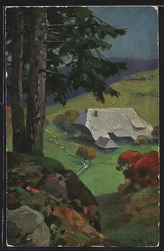 Künstler-AK Fritz Reiss: Haus in Schwarzwaldlandschaft