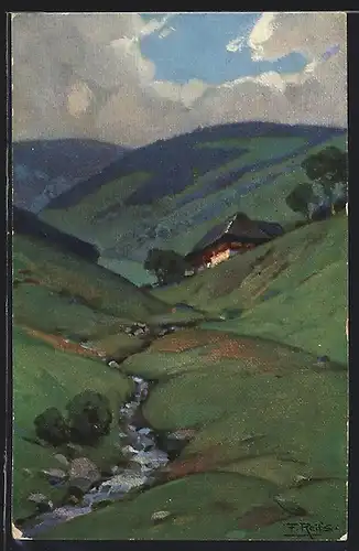 Künstler-AK Fritz Reiss: Schwarzwaldhaus im Sommer