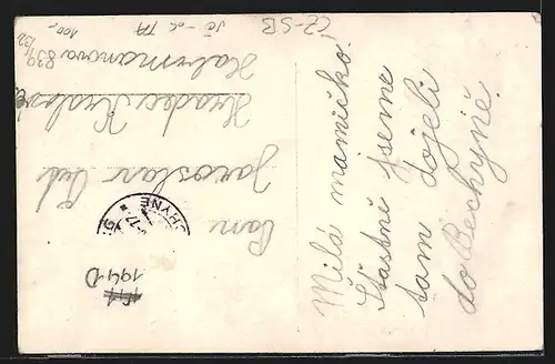 AK Lazne Bechyne, Blick auf die Brücke