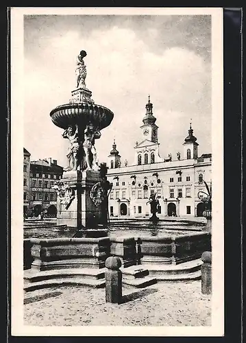 AK Budweis / Ceske Budejovice, Samsonbrunnen