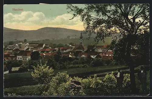 AK Husinec, Panorama