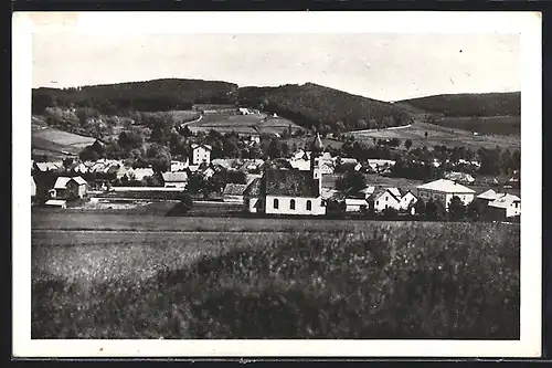 AK Gross Zdikau, Blick über die Wiese auf den Ort