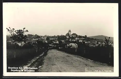 AK Sepekau b. Mühlhausen, Blick vom Weg auf die Ortschaft