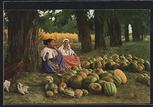 AK Jugoslawische Melonenhändlerinnen während ihrer Pause