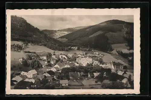 AK Unterreichenstein /Böhmerwald, Ortsansicht von Anhöhe, Panorama