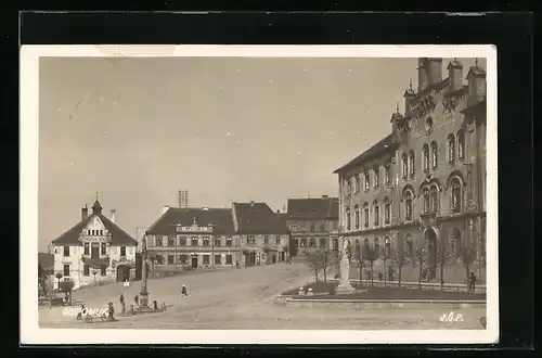 AK Nepomuk, Strassenpartie mit Denkmälern