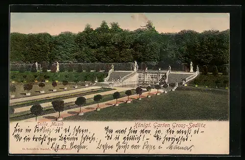 AK Gross-Sedlitz, Stille Musik, Partie im Königl. Schlossgarten