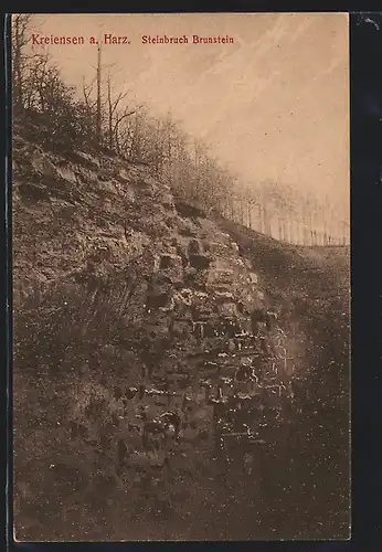 AK Kreiensen a. Harz. Steinbruch Brunstein