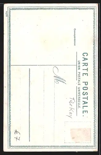 AK Constantinople, Les chients errants