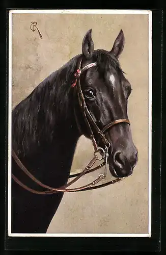 Künstler-AK Carl Reichert: Pferd mit Zaumzeug