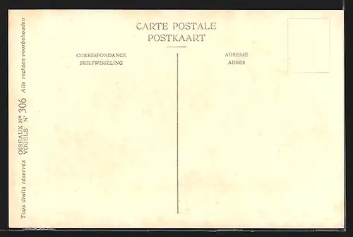 Künstler-AK Hubert Dupond: Musée Royal d'Histoire Naturelle de Belgique, Vogel-Serie: Poelsnip