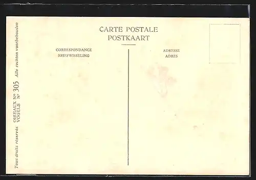 Künstler-AK Hubert Dupond: Musée Royal d'Histoire Naturelle de Belgique, Vogel-Serie: Watersnip