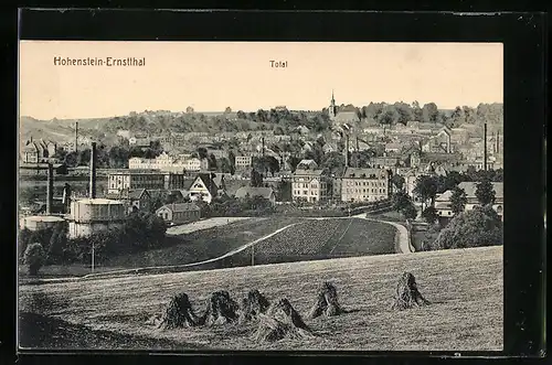 AK Hohenstein-Ernstthal, Totalansicht mit Feldern