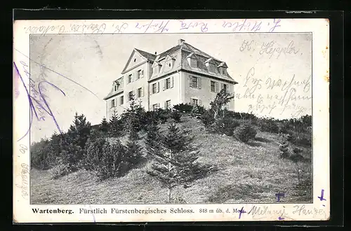 AK Geisingen, Wartenberg, Fürstlich Fürstenbergisches Schloss