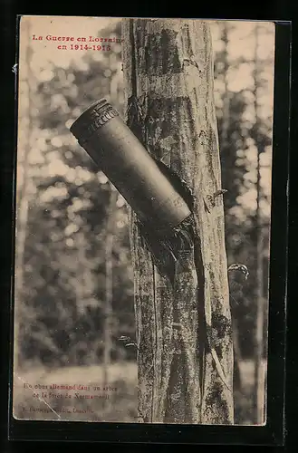 AK La Guerre en Lorraine en 1914-1915, Un obus allemand dans un arbre de la foret de Xermamenil