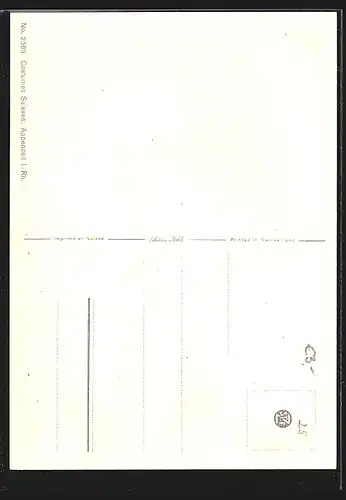 Künstler-AK Appenzell, Frau in Tracht