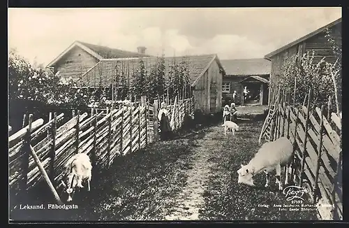 AK Leksand, Fäbodgata