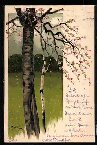 Künstler-AK Alfred Mailick: Birken auf einer Wiese