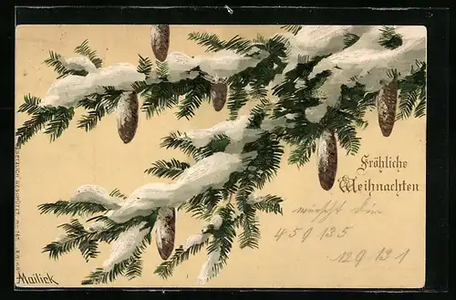 Künstler-AK Alfred Mailick: schneebedeckter Tannenzweig mit Zapfen, Weihnachtsgruss