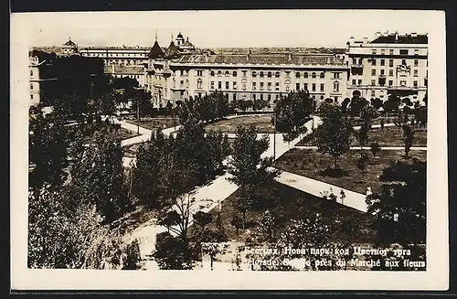AK Belgrade, Panorama pres du Marche aux fleurs