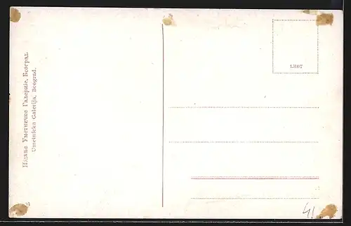 AK Belgrade, Nouveau Palais Royal