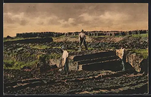 AK Landwirte beim Torfgraben in Ostfriesland