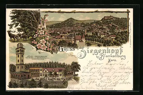 Lithographie Blankenburg /Harz, Hotel Ziegenkopf, Ortsansicht mit Ziegenkopf