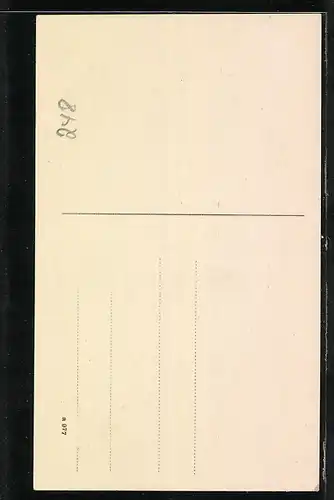 AK Klappschau bei Schleswig, Privatanstalt Th. Berendsen