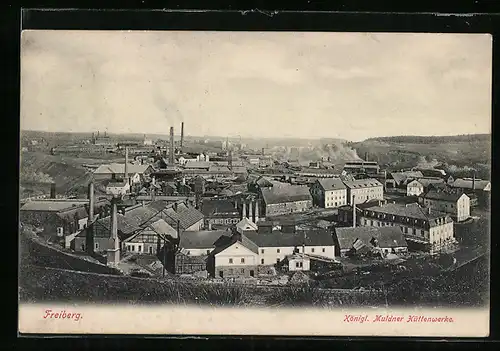 AK Freiberg, Königl. Muldner Hüttenwerke aus der Vogelschau