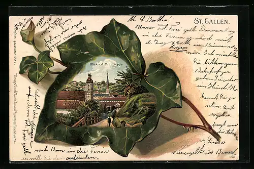 Lithographie St. Gallen, Blick von der Mühltreppe, Efeu-Passepartout