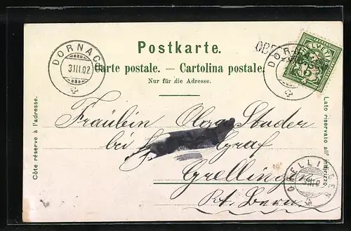 Lithographie Basel, Klein-Basel mit Brücke und Dampfern, Theater, Spalen-Thor