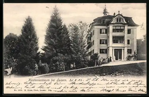 AK Luzern, Hotel Pension Kastanienbaum