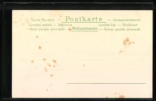 Passepartout-Lithographie Zürich, Limmatquai