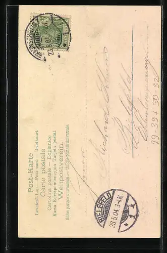 AK Maikäfer krabbeln eine Birke hinauf