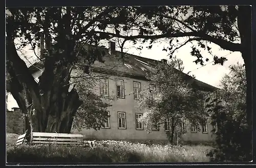 AK Vieselbach, Akazie am Feierabendheim