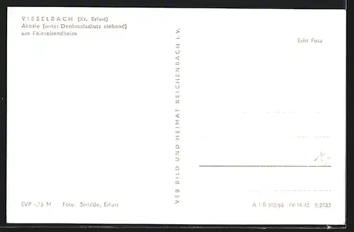 AK Vieselbach, Akazie am Feierabendheim