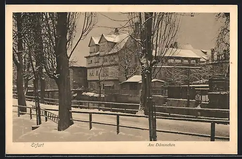 AK Erfurt, Strasse am Dämmchen mit Bäumen im Schnee