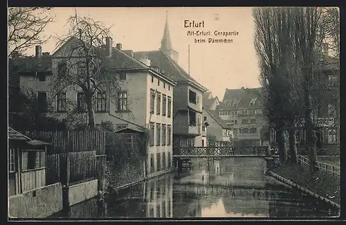 AK Erfurt, Altstadt mit Gerapartie beim Dämmchen