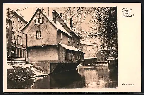 AK Erfurt i. Thür., Partie am Dämmchen