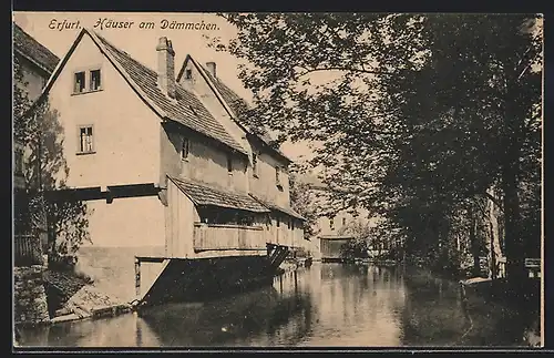 AK Erfurt, Häuser am Dämmchen