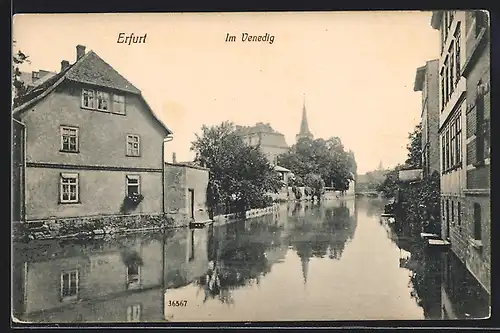 AK Erfurt, Im Venedig