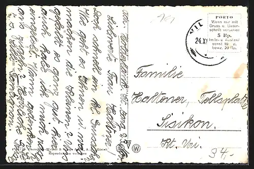 AK Wildegg, Ortsansicht mit Fabrikanlagen